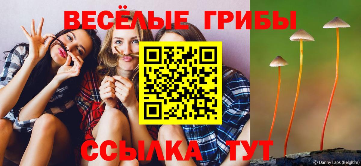 Псилоцибиновые грибы прущие грибы Кудрово